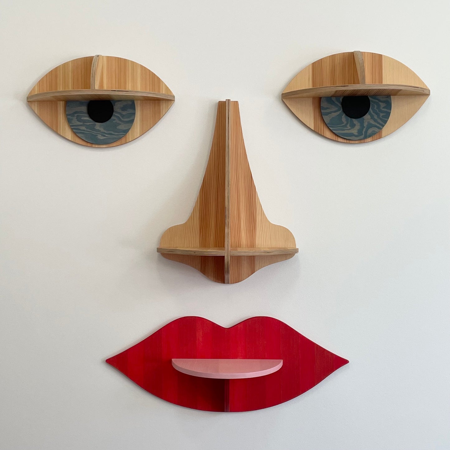 Full face shelf system