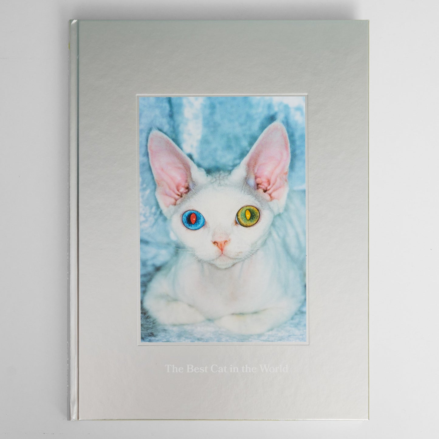 ”The Best Cat in the World” book by Felix Swensson and Carl Sander