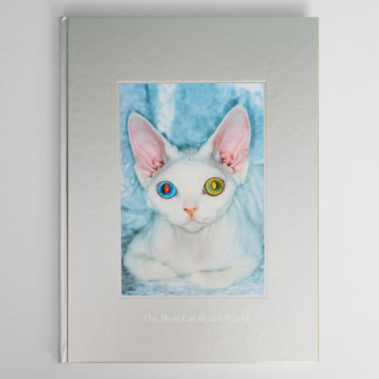 ”The Best Cat in the World” book by Felix Swensson and Carl Sander