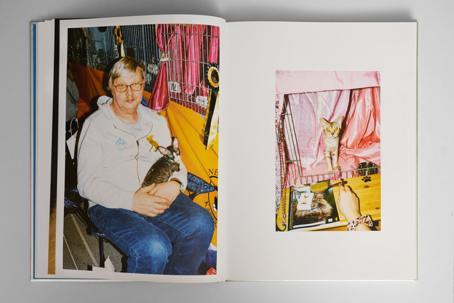 ”The Best Cat in the World” book by Felix Swensson and Carl Sander
