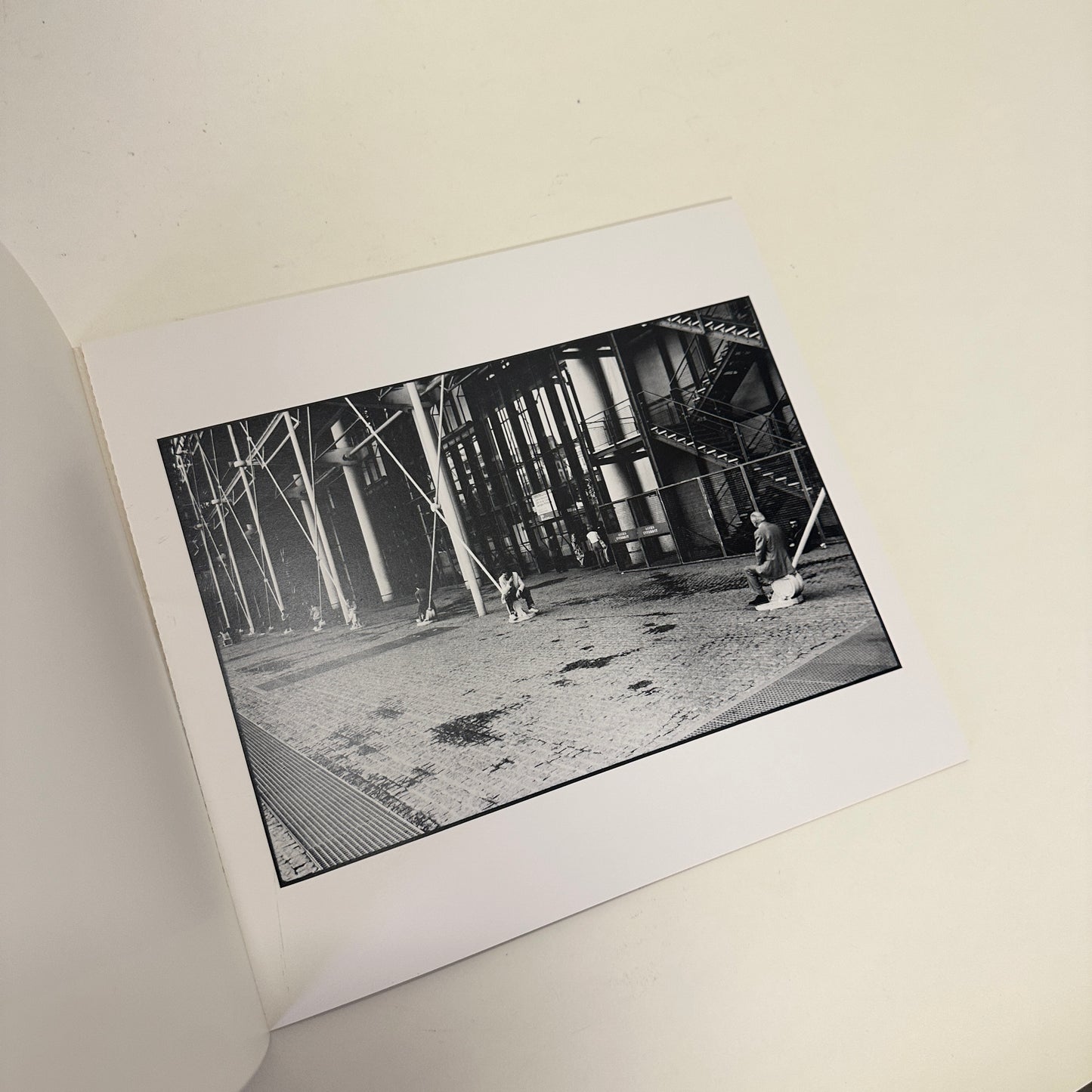 Book: Pardon my french