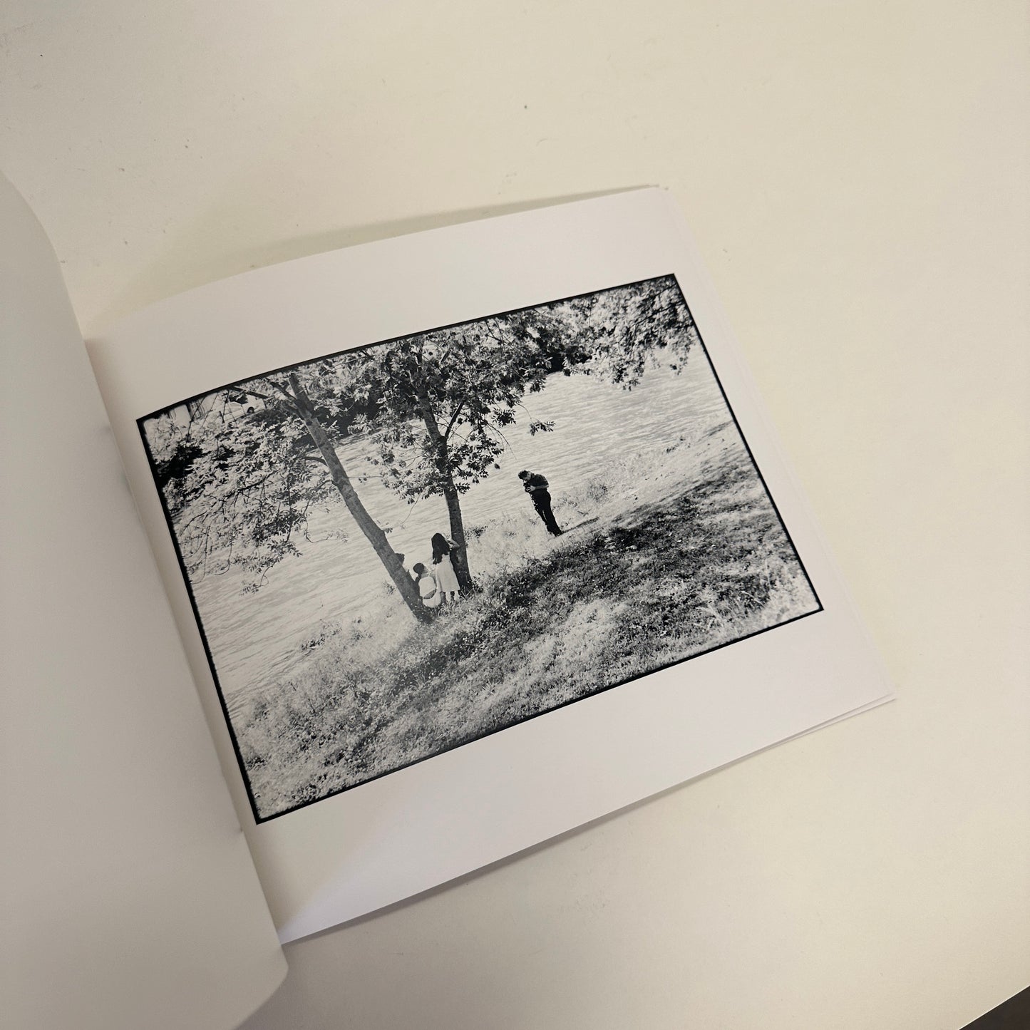 Book: Pardon my french