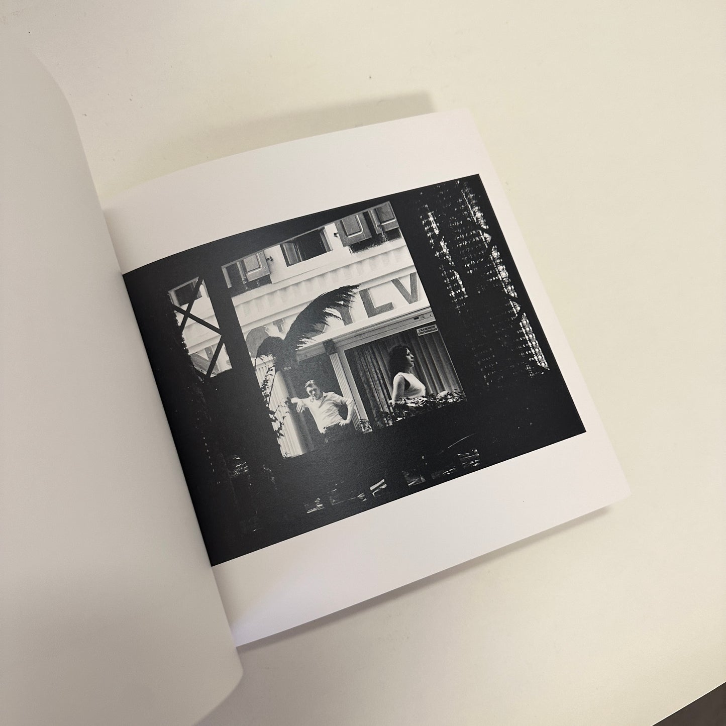 Book: Pardon my french