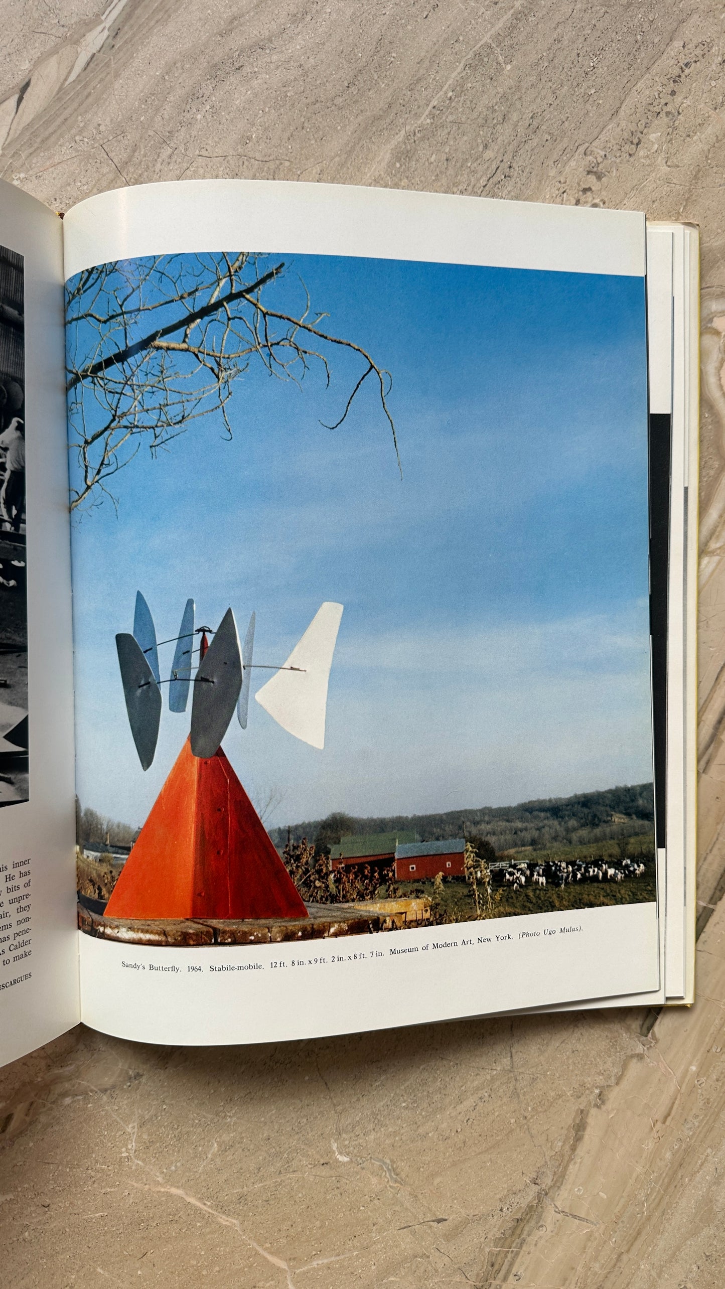 Book: Homage to Alexander Calder