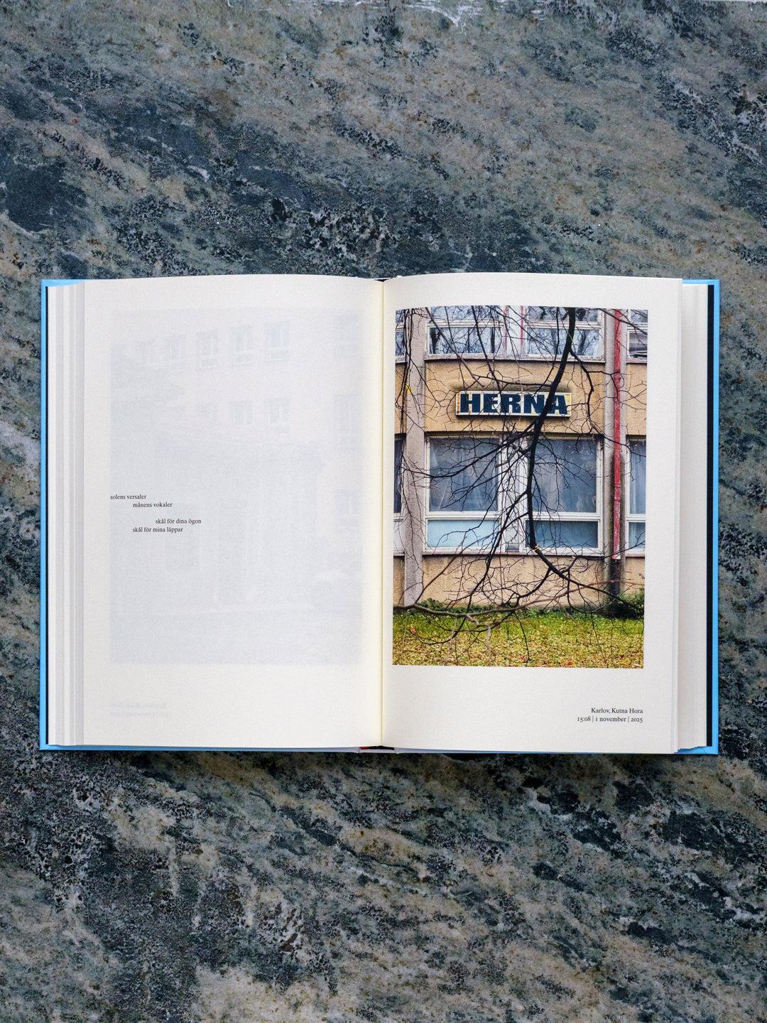 Book: Utsikten berövad men vattnade ändå by Tarek Jahjah