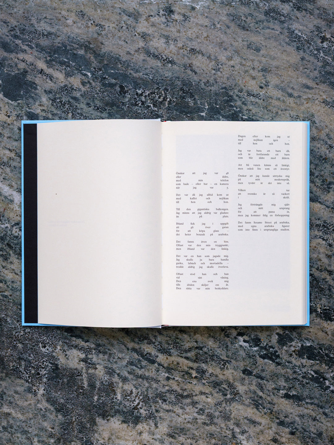 Book: Utsikten berövad men vattnade ändå by Tarek Jahjah