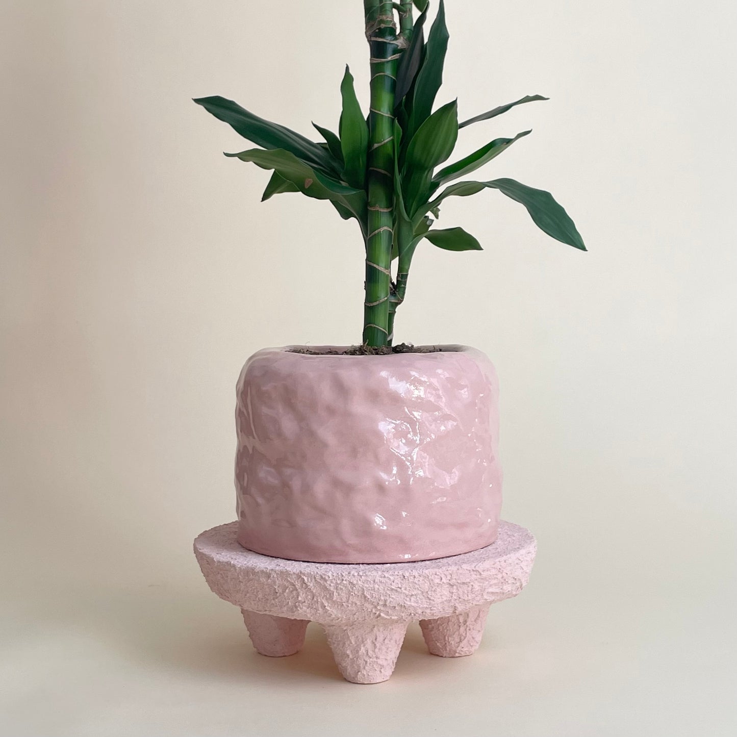 Ceramic planter by Fanny Ollas